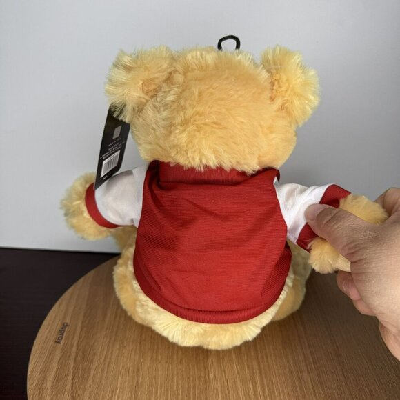 NFL San Francisco 49ers Coach Teddy Bear Plush Toy 12" - Picture 4 of 7